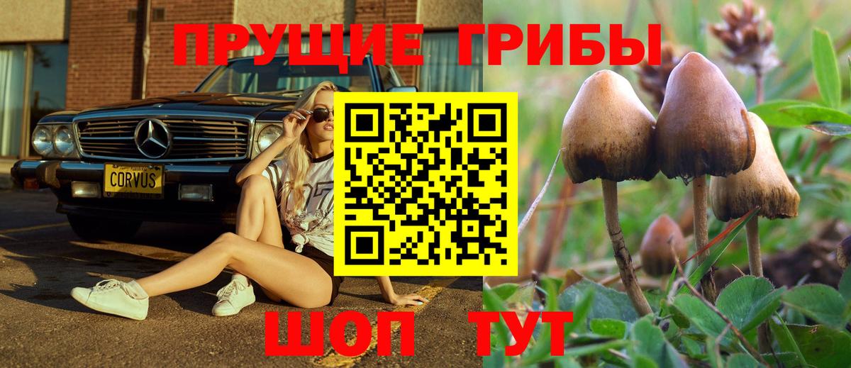 закладки  Вход с VPN  Тула  Галлюциногенные грибы GOLDEN TEACHER 