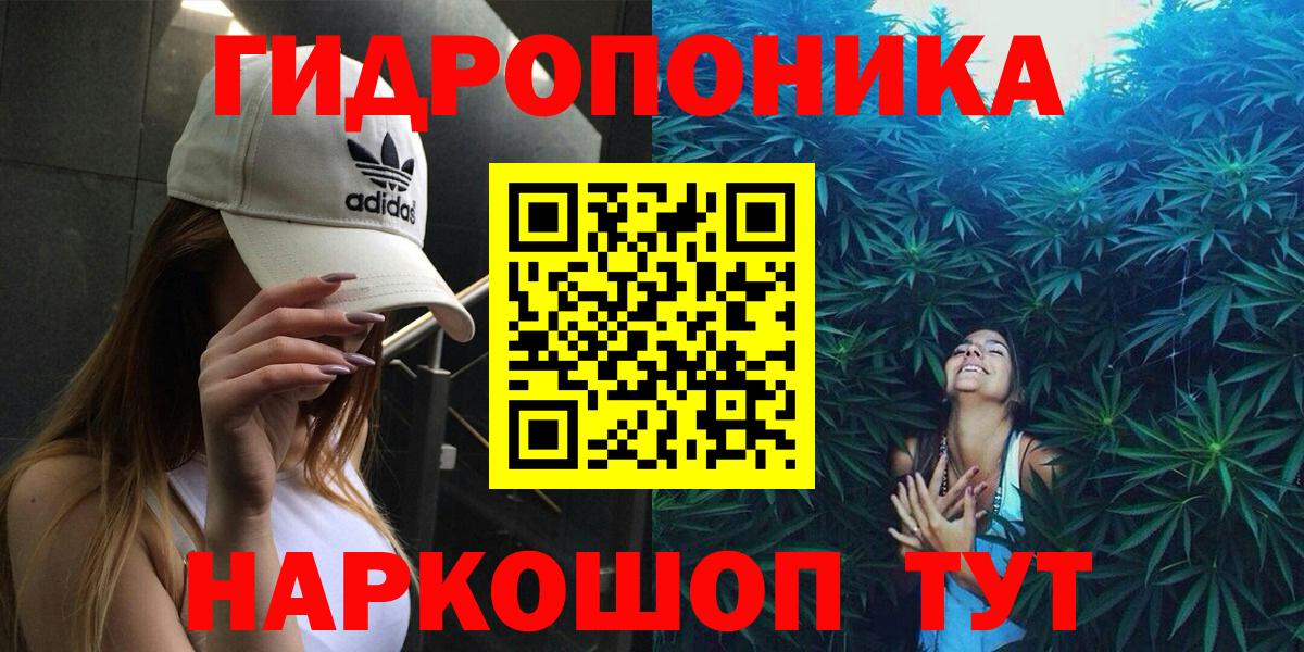 Конопля индика Тула